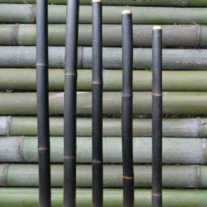 Didgeridoo Bambou | Gamme Résonance